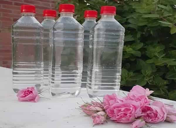 تصویر 2 از قیمت گلاب صادراتی کاشان + خرید باور نکردنی